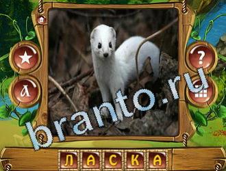 Закадри короля ВК ответ на уровень 623