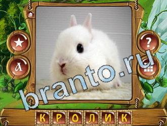 ответы на игру слова королевский турнир в Одноклассниках уровень 629