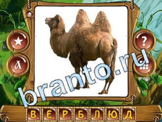 ответы на игру Закадри короля уровень 701