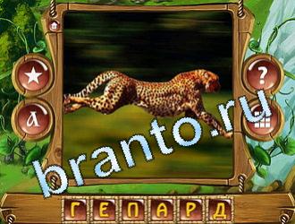 решения на игру Закадри короля вконтакте уровень 704