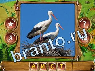 игра Закадри короля решения уровень 709