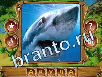 Закадри короля ответ на уровень 712