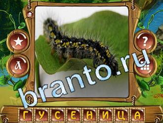 Закадри короля игра ответы вконтакте уровень 713