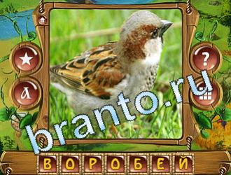 ответы на игру Закадри короля уровень 725