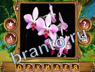 ответы на игру Закадри короля уровень 728