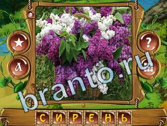 ответы Закадри короля уровень 742