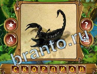 ответы на игру Закадри короля уровень 744