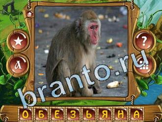 ответы приложение Закадри короля уровень 745