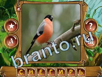 ответы на игру Закадри короля уровень 746