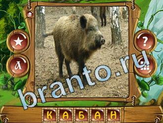 ответы на игру Закадри короля уровень 749