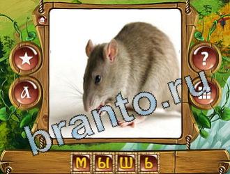 ответы на игру Закадри короля уровень 751