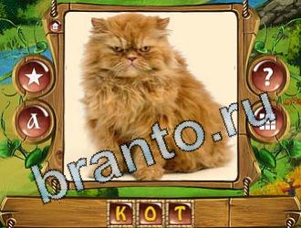 игра Закадри короля ответы в контакте уровень 756