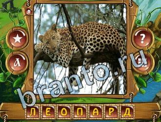 игра Закадри короля відповіді в контакте уровень 760