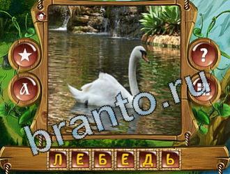 Закадри короля ответ на уровень 762