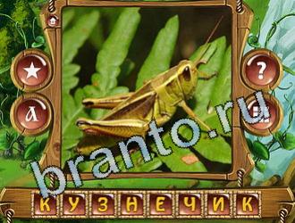 скриншоты с ответами Закадри короля уровень 764