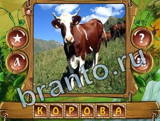 ответы на игру Закадри короля уровень 767