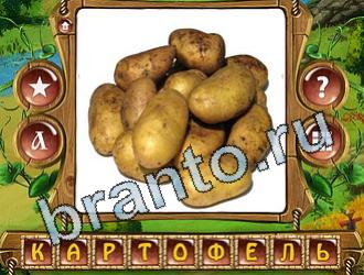 Закадри короля ответ на уровень 771