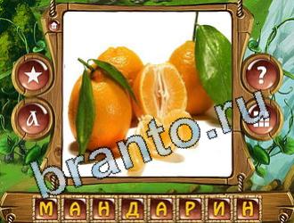 ответы на игру слова королевский турнир в Одноклассниках уровень 779