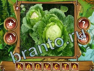 Закадри короля игра ответы уровень 780