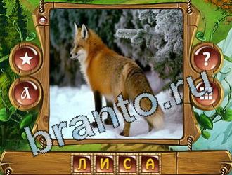 ответы приложение Закадри короля уровень 795