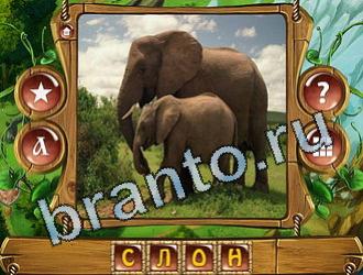 помощь на игру Закадри короля одноклассники уровень 853