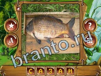 решения на игру Закадри короля вконтакте уровень 854