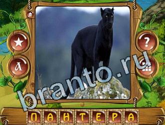 Закадри короля ответ на уровень 862