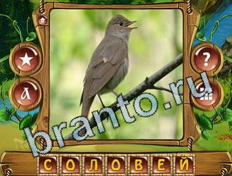 Закадри короля игра ответы вконтакте уровень 863