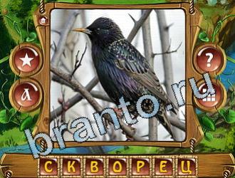 скриншоты с ответами Закадри короля уровень 864