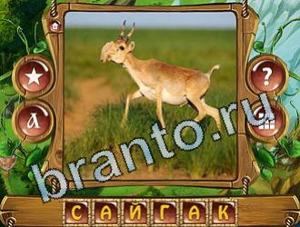 Закадри короля игра відповіді в контакте уровень 868