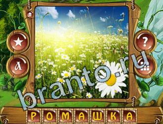 приложение Закадри короля ответы на все задания уровень 869