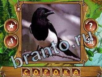 ответы на игру Закадри короля уровень 870