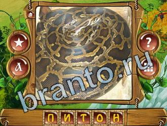 Закадри короля ответ на уровень 871