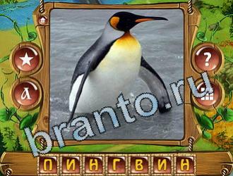 Закадри короля ВК ответ на уровень 873