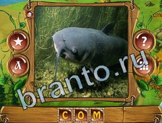 ответы на игру Закадри короля уровень 874