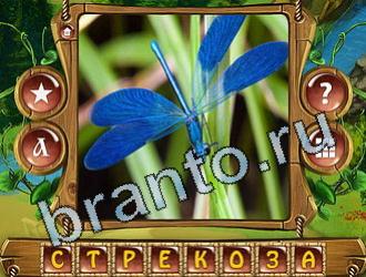 ответы на игру Закадри короля уровень 878