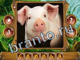 ответы на все уровни игры Закадри короля уровень 881