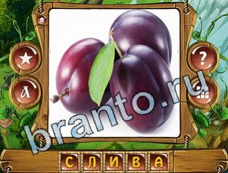 помощь на игру Закадри короля уровень 883