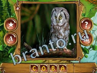 подсказки на игру Закадри короля уровень 885