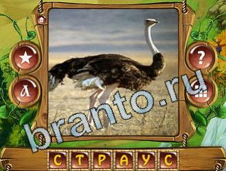 ответы на игру Закадри короля уровень 887