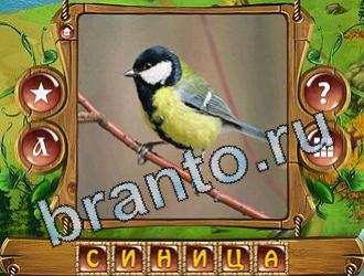 Закадри короля ответ на уровень 889