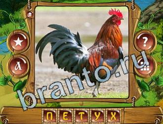 ответы Закадри короля уровень 892