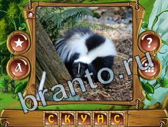 ответы на игру Закадри короля уровень 899