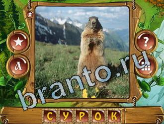 подсказки на игру Закадри короля уровень 900