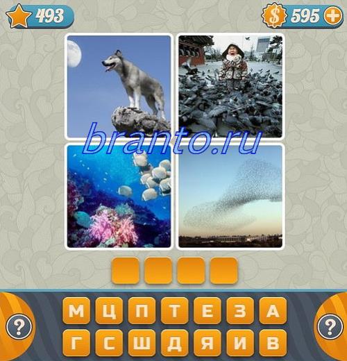 Словоед: волк, птицы, море, небо