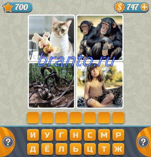Словоед Четыре картинки одно слово 700 уровень: кошка, обезьяны, корни, мальчик