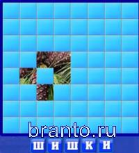 Словоед в одноклассниках: шишки