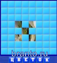 5 буквы: цветок