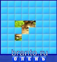 Словоед ответы - олень