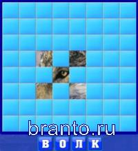 Словоед, ответы в картинках: волк